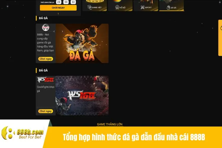 Tổng hợp hình thức đá gà dẫn đầu nhà cái 888B