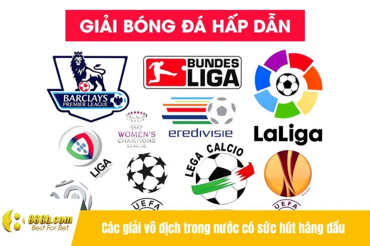 Các giải vô địch trong nước có sức hút hàng đầu